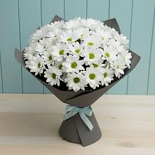 Букет цветов из:  Хризантемы #REPLACE_PRED# Боброве