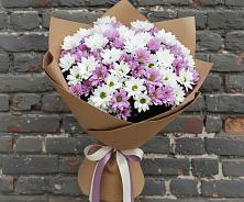 Букет цветов из:  Хризантемы #REPLACE_PRED# Боброве