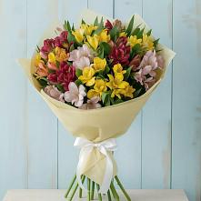 Букет цветов из:  Альстромерии #REPLACE_PRED# Боброве