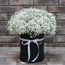 Цветочная композиция из Гипсофила в шляпной коробке в Боброве
