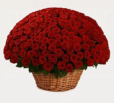 Премиум букет из: Розы в Боброве